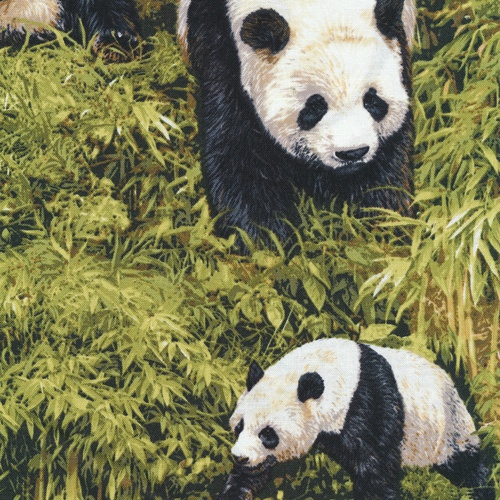 Fabri-Quilt - Born Free - Pandas, Green