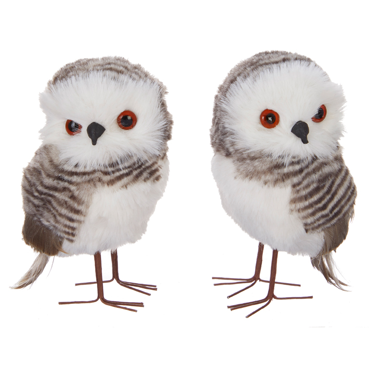 Owl - Soft Owl, Assorted