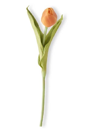 Stem - Tulip 10.5', Orange