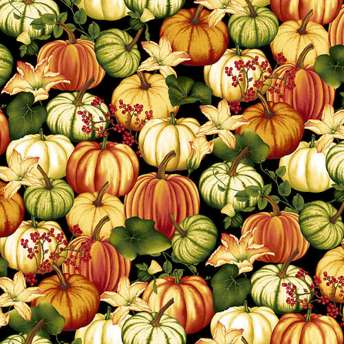 Studio E - Autumn Flourish - Pumpkins, Black