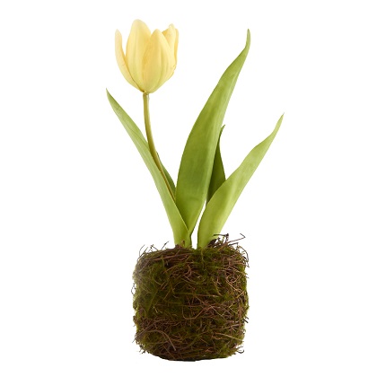 Tulip in Moss Twig Basket 7.5', Yellow