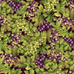 Studio E - Vineyard - Green & Purple Grapes, Raspberry