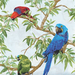 Fabri-Quilt - Born Free - Parrots, Blue