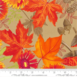 Moda - Forest Frolic - Indian Blanket Floral, Carmel