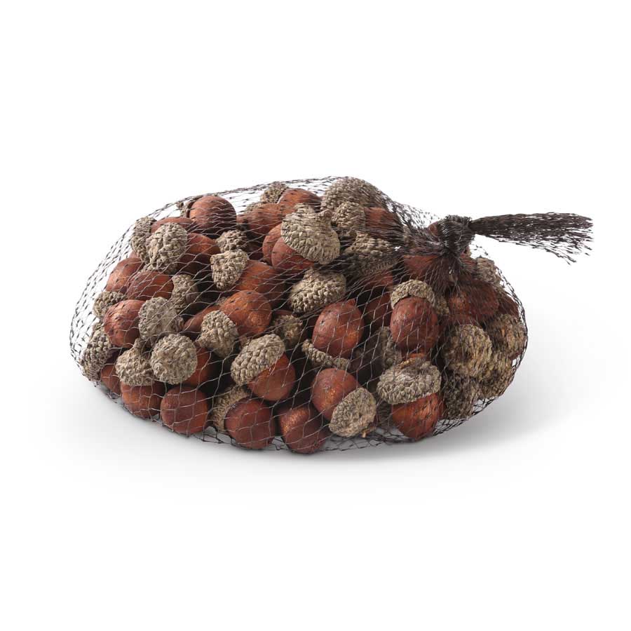 Acorns - Bag of Brown Acorns, 75 count