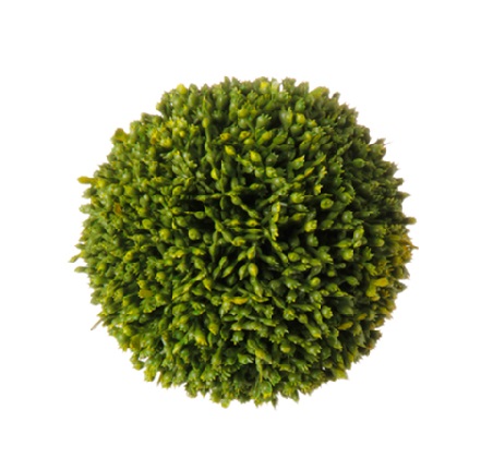 Ball - Sedum Ball, Small