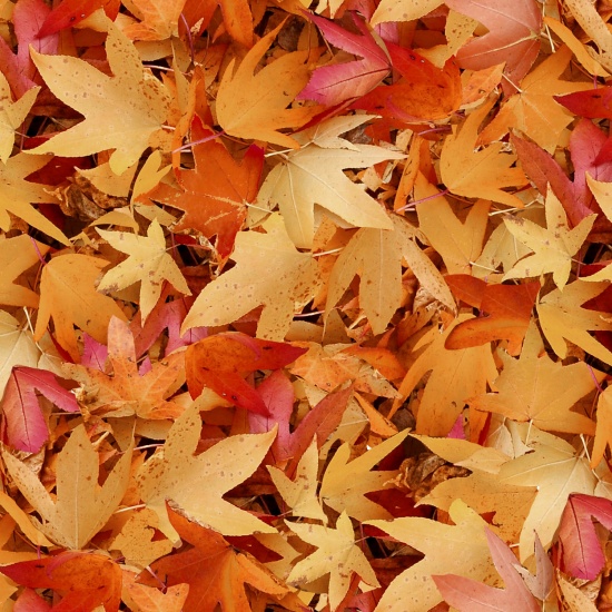 Blank Quilting - Natural Treasures II - Autumn Leaves, Red/Orange