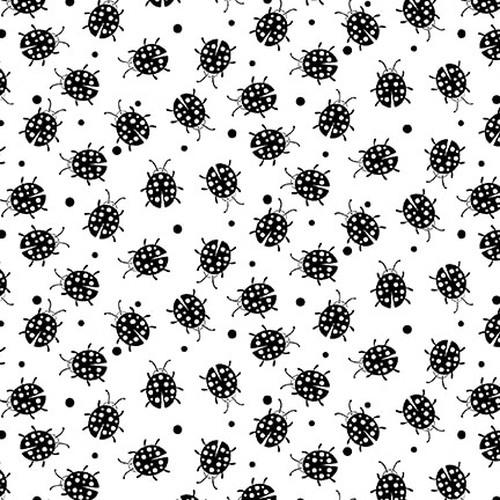 Blank Quilting - Paradox - Ladybugs, White