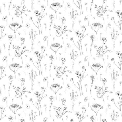 Blank Quilting - Royal Jelly - Sketched Floral, White