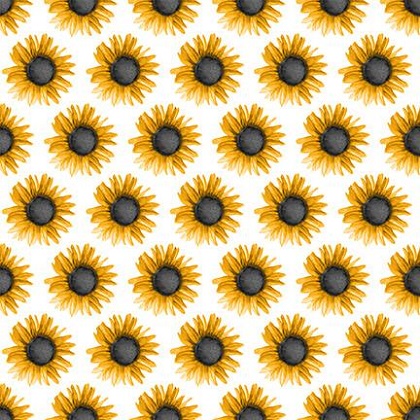 Blank Quilting - Show Me The Honey - Sunflowers, White