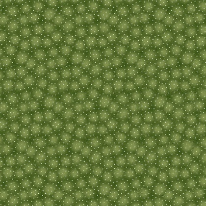Blank Quilting - Starlet, Olive