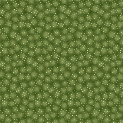 Blank Quilting - Starlet, Olive