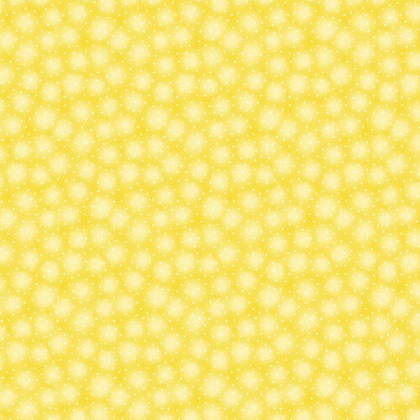 Blank Quilting - Starlet, Sunshine