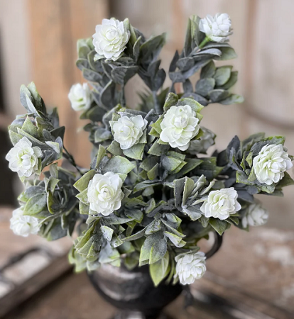 Bouquet - Aylesford Blooms 15', Cream