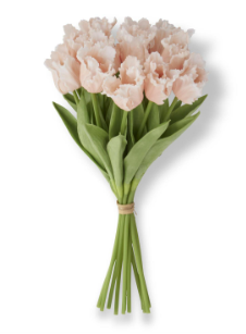 Bouquet - Tulip Light Peach Real Touch Parrot