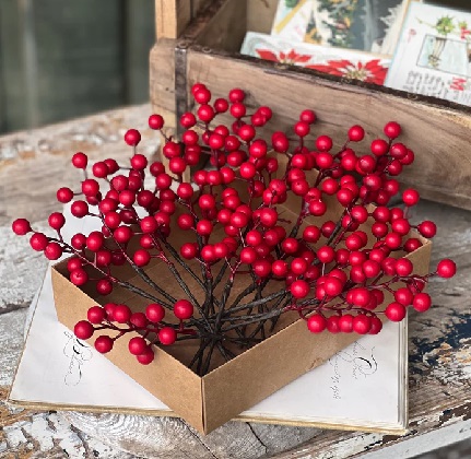Boxed Berries - Waterpoof Berries 8' Matte