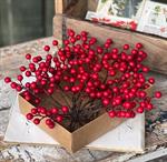 Boxed Berries - Waterpoof Berries 8^ Matte