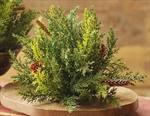 Brush - Prickly Pine 9^, Green