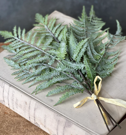 Bundle - Longacre Fern 20'