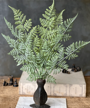 Bundle - Longacre Fern 20'