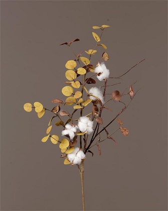 Bush - Cotton, Eucalyptus 32'