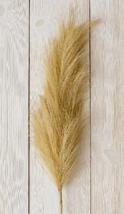 Bush - Faux Pampas Grass 40'