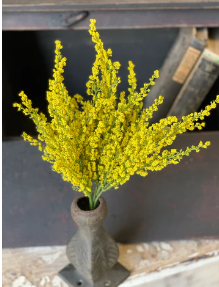 Bush - Heather 10.5', Yellow