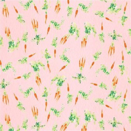 Clothworks - Spring Has Sprung - Carrots, Light Coral