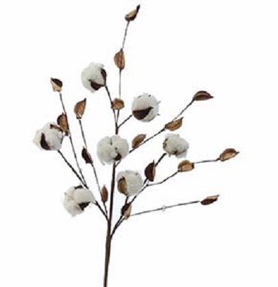 Cotton Spray, 19'