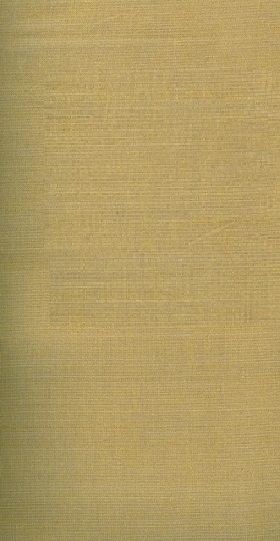 Diamond Textiles - Country Homespuns - Muted Stripe, Light Gold
