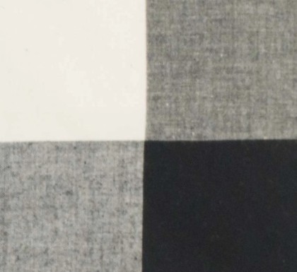 Dunroven House - Homespun Checks & Plaids - Farmhouse Check, Black/Natural