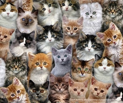 Elizabeth Studio - Adorable Pets - Packed Cats, Multi