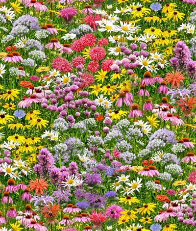 Elizabeth Studio - Bees & Flowers - Landscape Medley, Multi