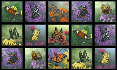 Elizabeth Studio - Butterfly Meadow - 24' Block Panel, Black