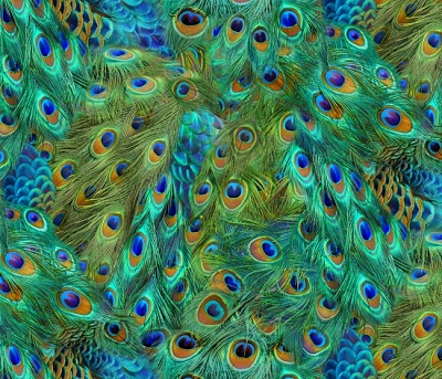 Elizabeth Studio - Exotica - Peacock Feathers, Multi
