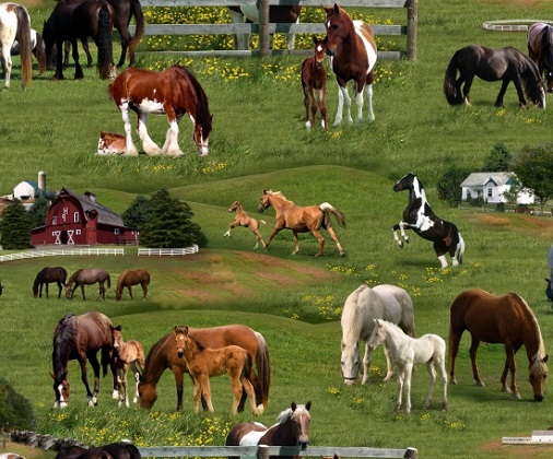 Elizabeth Studio - Farm Animals - Horses on Pasture, Green