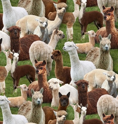 Elizabeth Studio - Farm Animals - Lamas, Green