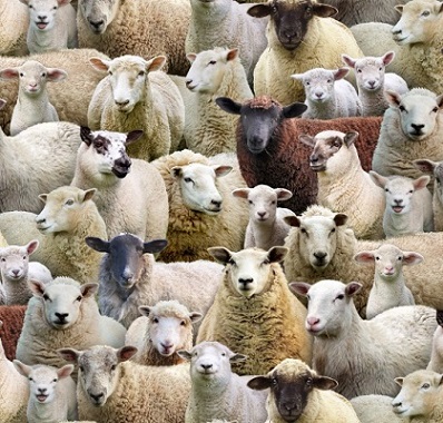 Elizabeth Studio - Farm Animals - Sheep Allover, Neutral