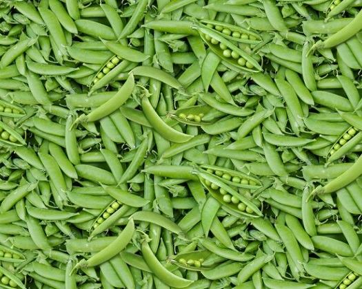 Elizabeth Studio - Food Festival - Peas, Green