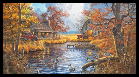 Elizabeth Studio - Good Old Days - 24' Country Lake Scene Panel, Multi