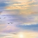 Elizabeth Studio - Landscape Medley - Sky with Birds, Multi