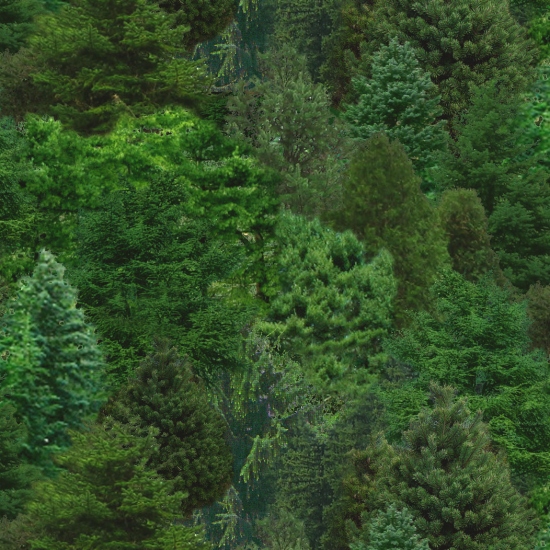 Elizabeth Studio - Landscape Medley - Trees, Green