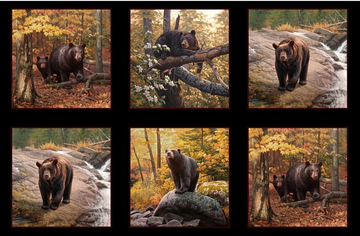 Elizabeth Studio - Ursus Americanus - 24' Bear Panel 6 Blocks, Multi