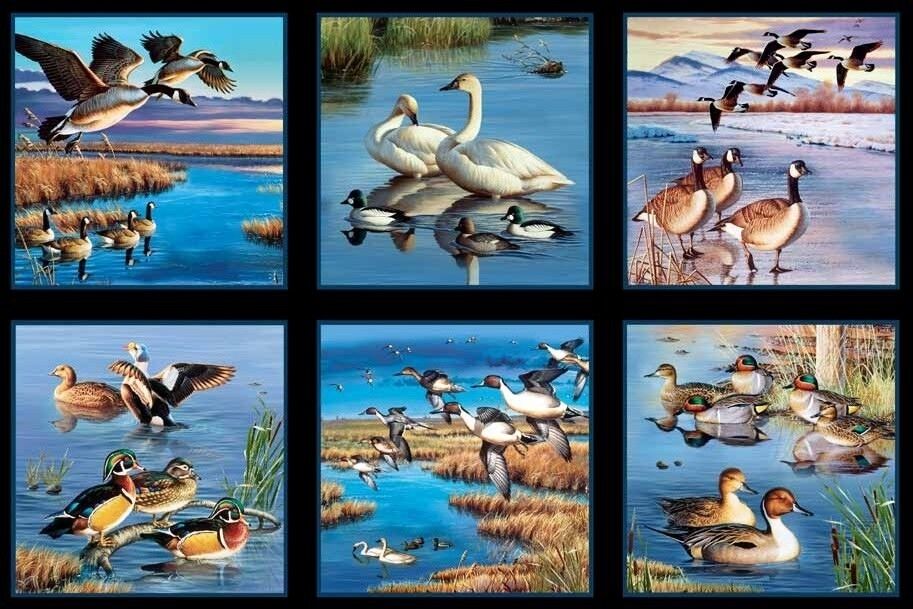 Elizabeth Studio - Waterfowl - 24' Panel, Black