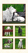 Exclusively Quilters - In The Meadow - 24' Lamb Panel, Cream