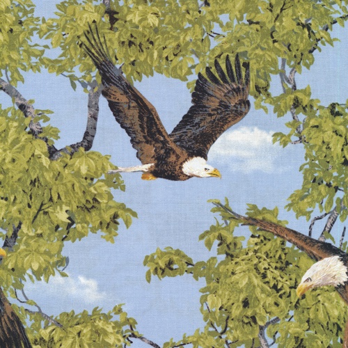 Fabri-Quilt - Born Free - Eagles, Blue