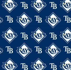 Fabric Traditions - MLB - Tampa Bay Rays, Navy