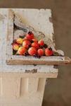 Fruit - Bag of Mini Pomegranate