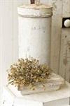 Half Sphere - Basil Boxwood, Sage