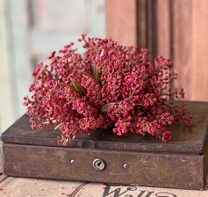 Half Sphere - Bursting Astilbe 9', Sangria